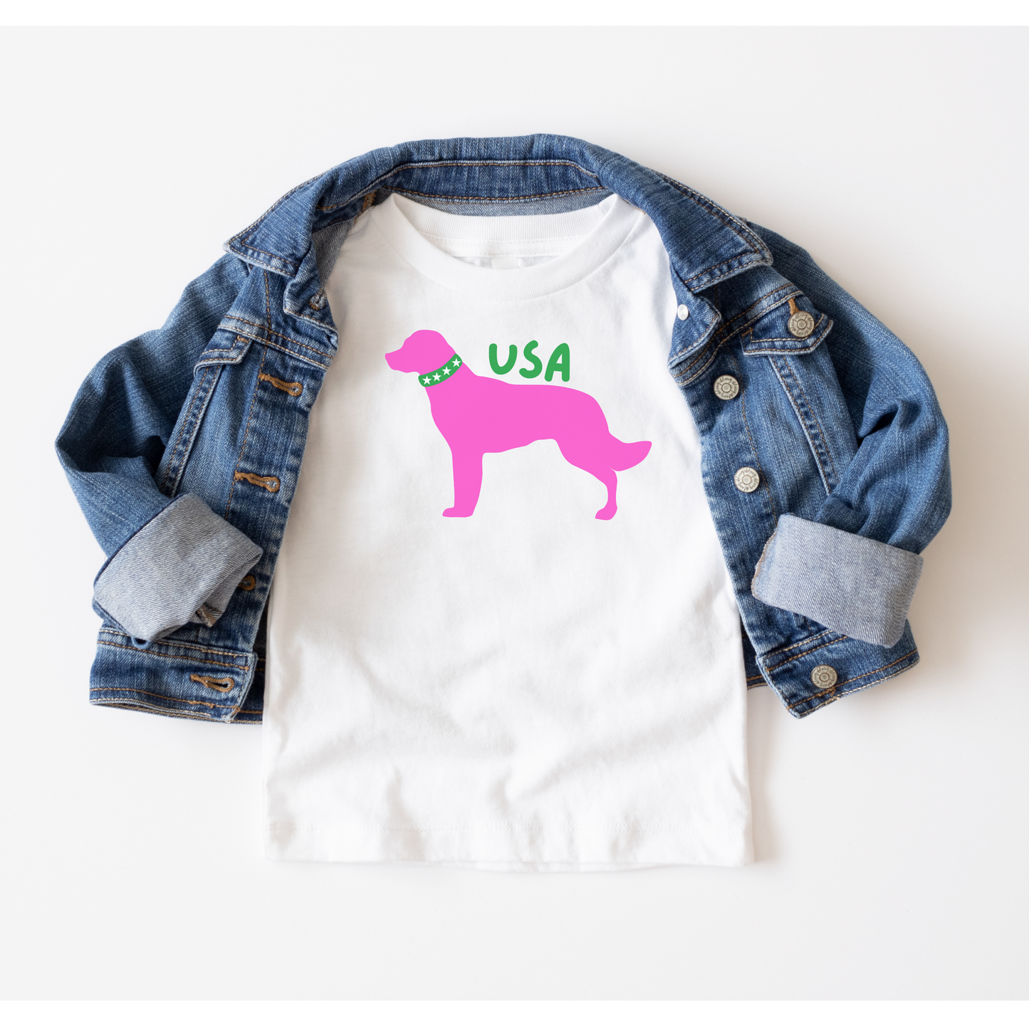 PATRIOTIC PUP COLOR SERIES T